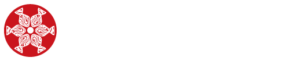 202411taiko-index-logo-03